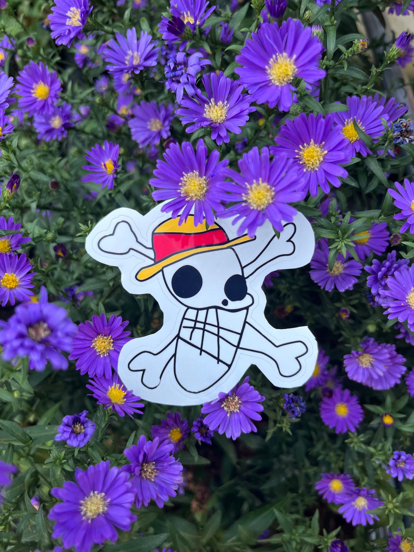 Luffy's Pirate Flag Vinyl