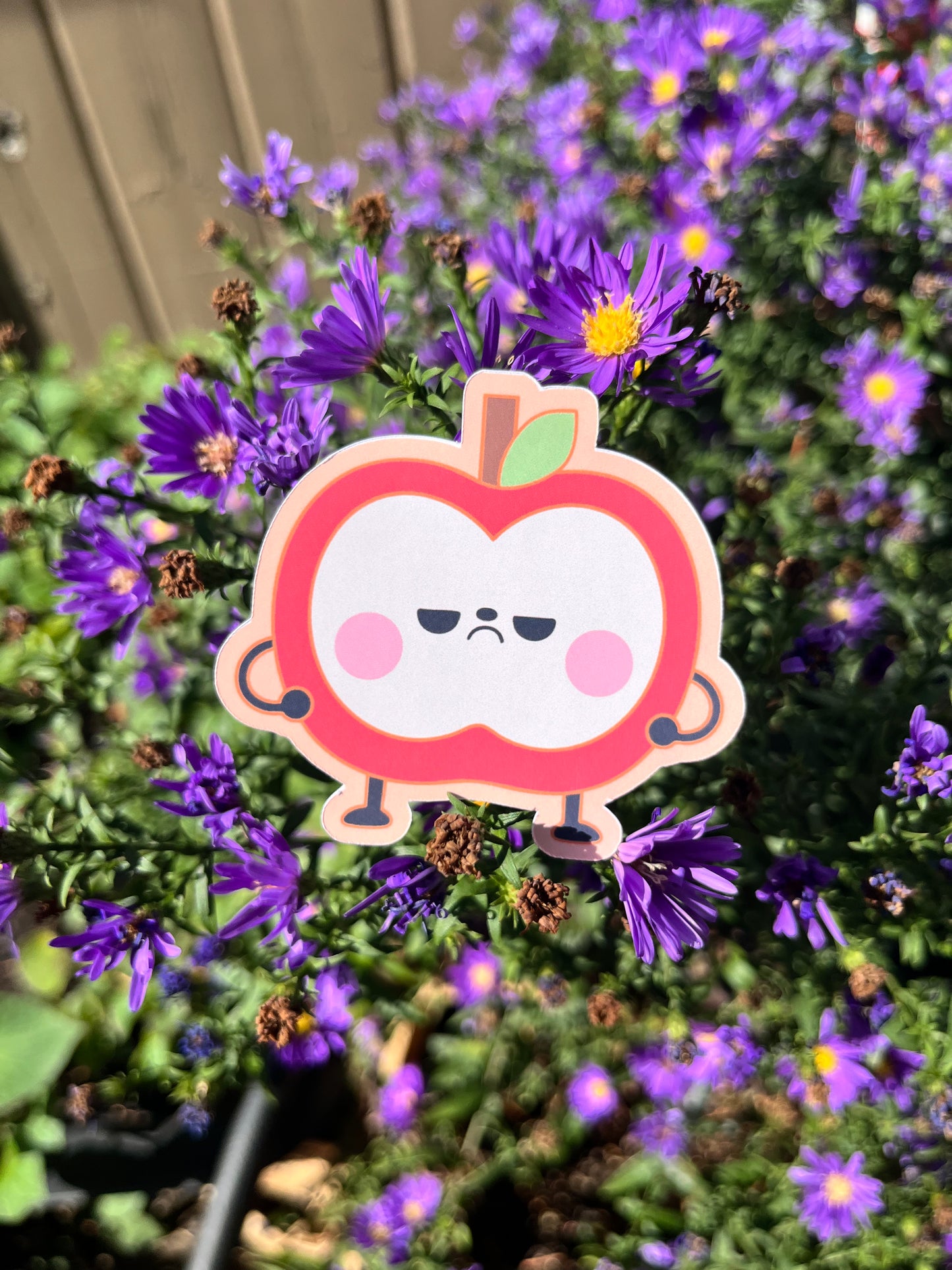 Love and Deepspace Mascots Vinyl